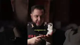 «Пригожин может быть жив» Аким Апачев / Интервью Осторожно Собчак 