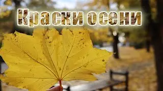 Осень 2022