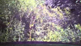 PICT0333