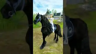 ・❝ ☆ ⋮ pov: buying a friesian on star stable online in 2013