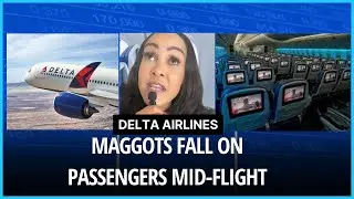 Delta airlines turns plane around when maggots fall on passengers