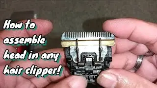 clipper head disassemble, cleaning and reattach spring
