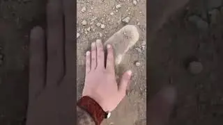 What did we just find