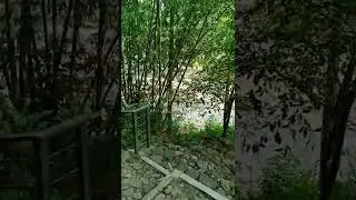 Eco Forest Sentul - Wisata Hutan Dekat Kota di 2022
