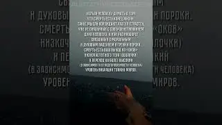 #ЦитатникСоздателя