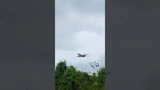 Firefly 