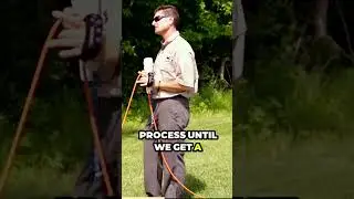 Easy Dog Training Drill - Hand Signals Made Easy