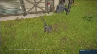 Jurassic World Evolution Velociraptor 2001 Male pattern