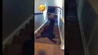 Аййй:ouch😅😂 