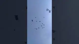 Удивительные Николаевские голуби Георгия Шпунтова, г. Саки, часть 10