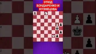 💥НАПЕРЕГОНКИ 