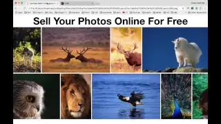 Sell Your Photos Online For Free - iStockPhoto Is Free To Sell Your Photos