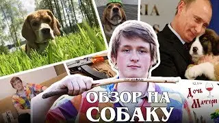 Обзор на СОБАКУ / Парфенон стайл