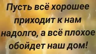 Посиделки в Питере 2024.11.05