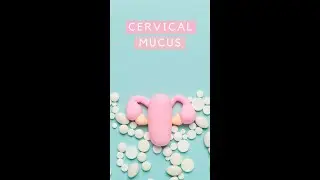 What your Cervical Mucus can tell you about being Fertile