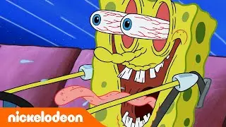 SpongeBob | Guru mengemudi baru SpongeBob | Nickelodeon Bahasa