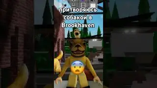 притворяюсь собакой в Brookhaven 
