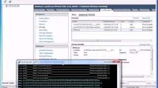 ESXi Struggles and Frustration