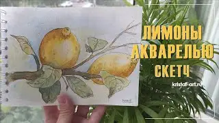 Лимоны акварелью. Скетч. #watercolor #лимоны #нарисовать #art #творчество