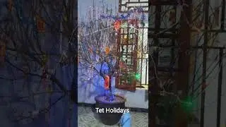 TET HOLIDAY #tet ,#holiday #