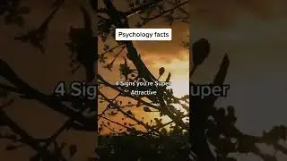 4 Signs You're Super Attractive || Psychology Facts 