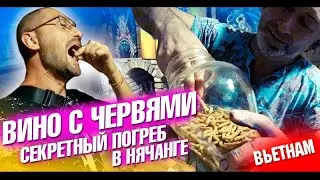Вьетнам Нячанг. Секретный погреб и сигара Фиделя Кастро! Северные острова и дегустация. Влог