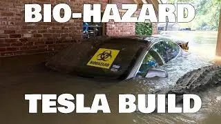 Worlds Most Disgusting Tesla