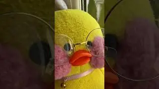 УТРЕННИЙ ВЛОГ УТИ 