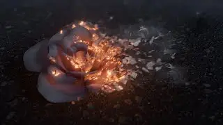 Houdini Disintegration FX - Pro Houdini & Nuke VFX Course
