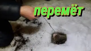 Ставим перемёт на налима. Will transfer to burbot