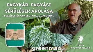 GREENMAN x Gundel Takács Gábor: Fagykár, fagyási sérülések ápolása Greenman Agróval