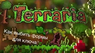 Как выбить формы для ключей в Terraria?