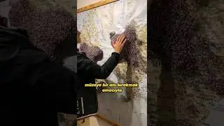 Bu Dünya Haritasını Daha Önce Görmediniz! 😲🌍