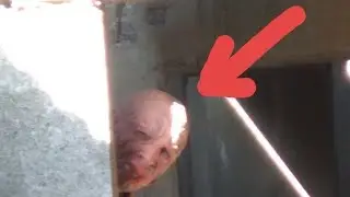 Встретили маньяка на заброшке
