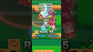 Rank 35 Amber Guide