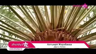 Аллага  шугур 🙏