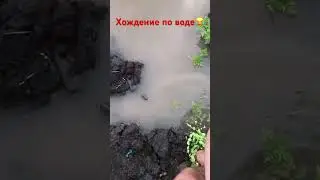 Потоп в КП #южнаястолица #vgoncharov #подпишись #краснодар #южный #short #shorts #потоп #море