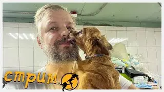 Вечерний стрим, отвечаем на ваши вопросы, делимся новостями, открываем посылки. 12.01.2024