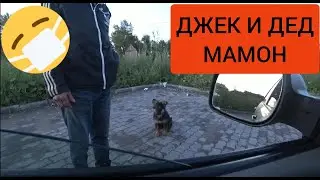 Не хотите не смотрите. Дед Мамон работа в Яндекс такси Максим.