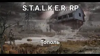 СТАЛКЕР РП С ВЕБОЧКОЙ | СТАЛКЕР РП | Сервер: DarkWay