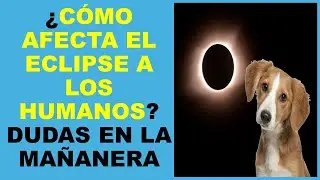 Soy Docente: ¿CÓMO AFECTA EL ECLIPSE A LOS HUMANOS? DUDAS EN LA MAÑANERA