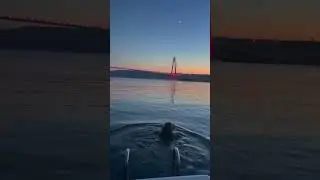 Burayı kaydedin❤️ İstanbulda denize girilen tek yer !