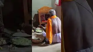 মনসা পূজা