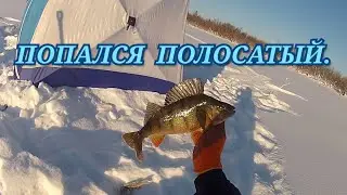 Рыбалка, ловля окуня в глухозимье. РЫБАЛКА С КОМФОРТОМ. ПРОБНЫЙ ВЫЕЗД УДАЛСЯ.