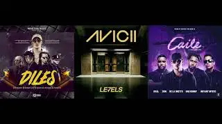 Diles X Levels X Caile (Mashup) - Bad Bunny, Avicii, Zion