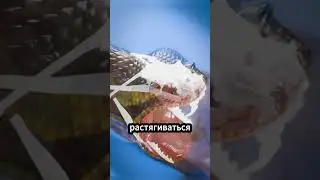 Как змея заглатывает БОЛЬШУЮ добычу 😨🐍 