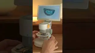 Ich hab mir ein Mikroskop gekauft…