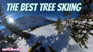 The best tree skiing at WhistlerBlackcomb