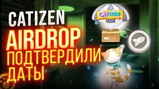 Catizen: Успей прокачать кота! Catizen раздаст больше $$$ — как попасть под раздачу токена CATI.