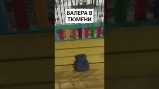 ВАЛЕРА ПРИЕХАЛ ОТДЫХАТЬ!!